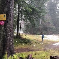 Beschilderung Schneeschuhtour