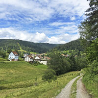Blick auf das Heidelbeerdorf Enzklösterle