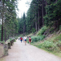 Naherholungsgebiet "Lütsche-Stausee" im Thüringer Wald