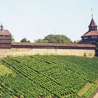 Die Esslinger Burg