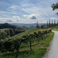 Aussicht