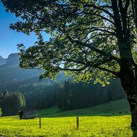 Blaa-Alm
