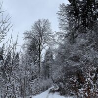 Nun mehr oder weniger ebenen Weges weiter (dank der römischen Straßenbaukunst!)