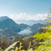 Scheffau_Steiner-Hochalm_Ausblick Hintersteiner See_Wilder Kaiser