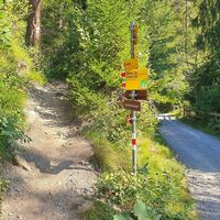Abzweigung Pfad mit Wegweiser