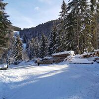 Weg nach Gschaid_Naturpark Almenland_Oststeiermark
