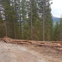 Am höchsten Punkt rechts abzweigen
