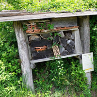 Wildbienen-Nisthilfe
