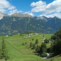 Selva - Cancian