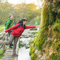 Eifel Tourismus-2021-341-Nohner Wasserfall-© Eifel Tourismus GmbH, Dominik Ketz