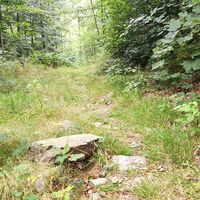 Von Saaldorf zum Marienstein
