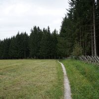 Schmaler Waldweg entland Bänerzaun