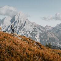 Gesäuse Bergwelt im Herbst