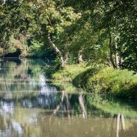Bei Fürstenfeld in der Au