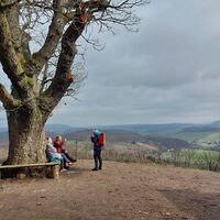 Große Drachenstein