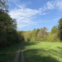 Wiesiger Abschnitt, einfach schön hier!