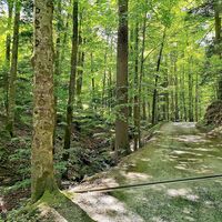 Weg von Andelsbuch auf die Bezegg