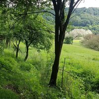 Trubachtal