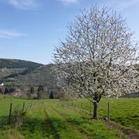 Oberhalb von Heinzenhausen