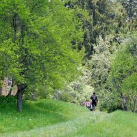 Weg vlg. Weißegger vor Gasthof Rabensteiner