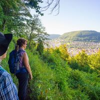 Panoramaweg am Geislinger Tegelberg, Abschnitt des Albtraufgängers