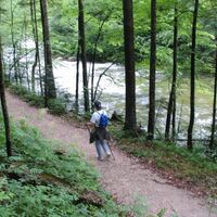 Der Weg durch die Wildnis