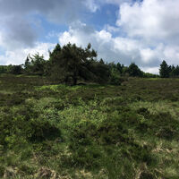Landschaft am Wanderweg W6