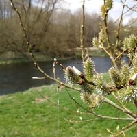 An der Saale zwischen Thüringen und Franken