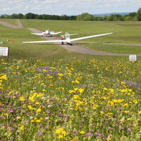 Kaltes Feld Segelflugplatz Hornberg