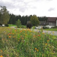 Gaubitzhof bei LuagaLucka Altmelon