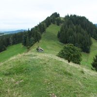 Weg vor Guggershorn - Alpenpanoramaweg Etappe 18