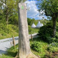 Tipizelte an der Sauerland-Waldroute