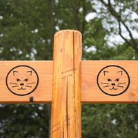 Die Wildkatze markiert den Wildnis-Trail