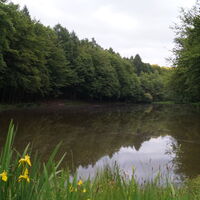 Milchborntal-Weiher