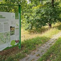 Infotafel am Kolonnenweg an der Görsdorfer Mauer