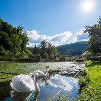 Teich in Winkhausen