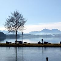 Alpenblick in der Wallersee-Ostbucht in Neumarkt.