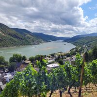 Bacharach-Aussicht rheinaufwärts