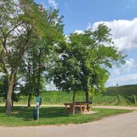Bike Buddies Burgenland