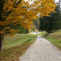 die letzten Meter zu unseren Drahteseln