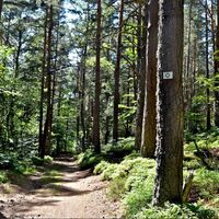 Tour du petit et grand Hochnack