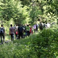Wandergruppe Frauenwald