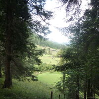 erreichen wir Hinternaßwald