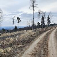 13.7 km Auf der Manhartsberg-Runde