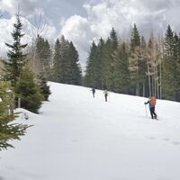Der Aufstieg führt über eine Almwiese