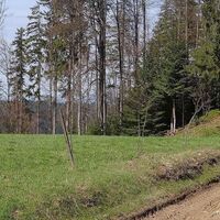 6.1 km Polana Nalewajki