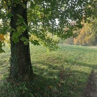 Idyllischer Wanderweg