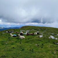 Weiterweg zum höchsten Punkt Sinabell