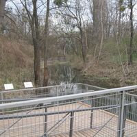 Nationalpark Donauauen