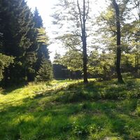 Lichtung am Wanderweg W8 in Willingen